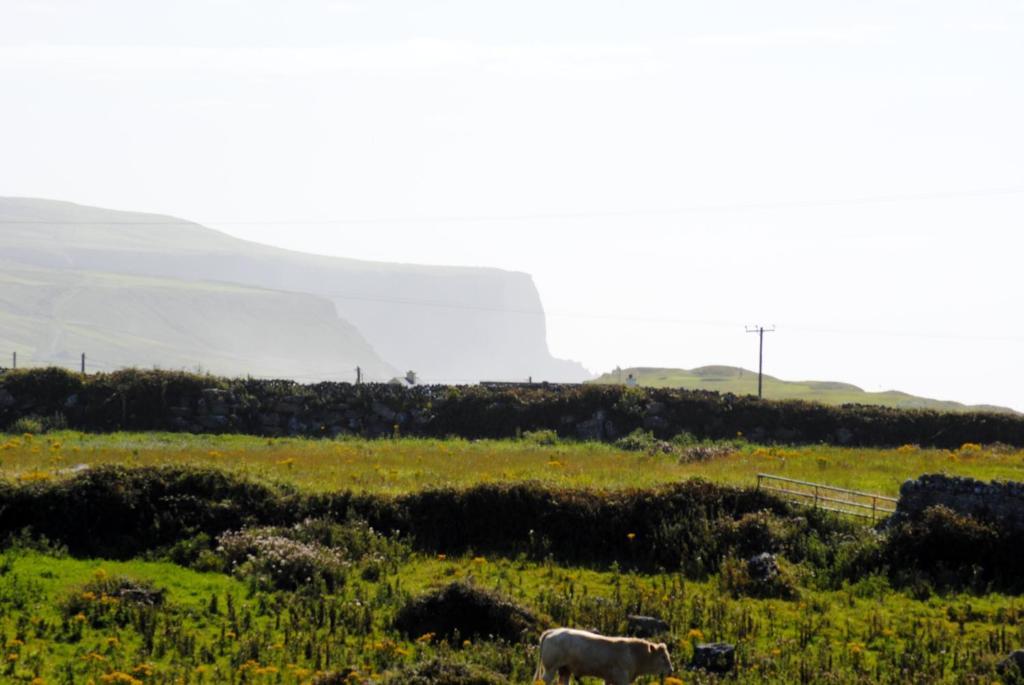 O'Connor'S Accommodation Doolin Exterior photo